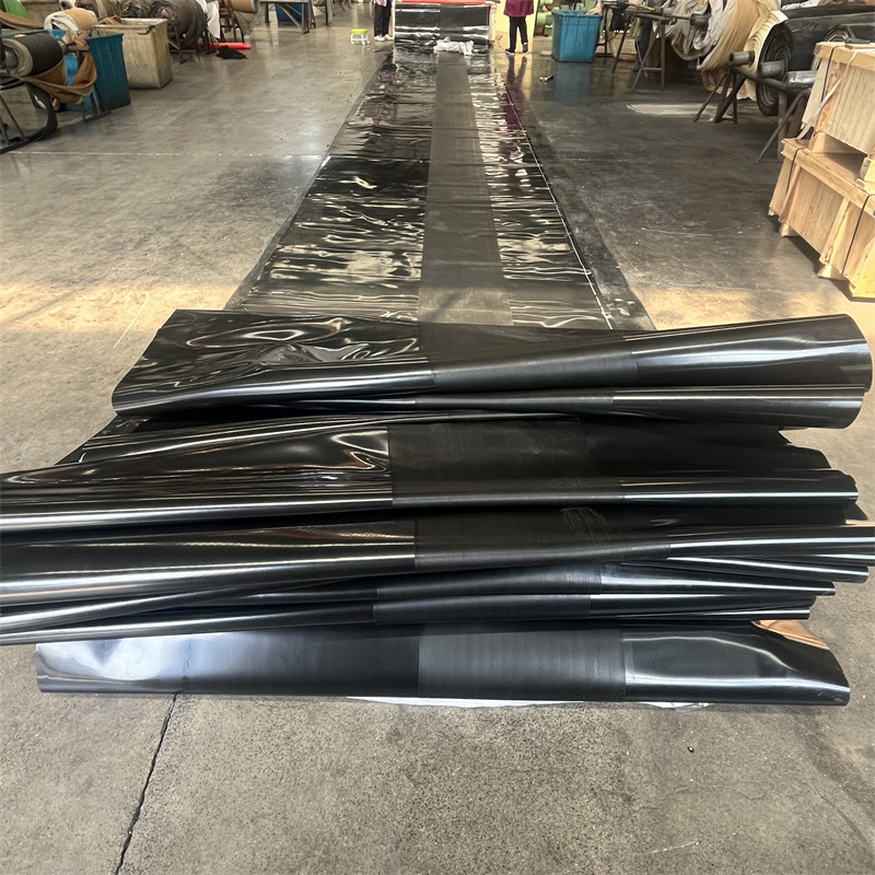 һ�����ܷ��ó��ʹ�